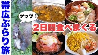 【北海道 十勝帯広ぶらり旅】2日間のグルメ旅。インデアンカレー・コーン炒飯・ニジマス料理・黒豆ソフトなど食べまくりのひとり旅。エゾリスに出会える街 帯広市【十勝に住む なかむーの週末Part4】