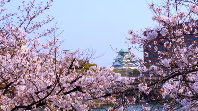 大阪市都島区『都島区魅力フォトコンテスト2026開催業務委託』公募型プロポーザル採択のサムネイル